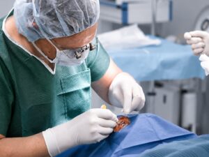 IVI Spritzen in der HEAL Augenpraxis